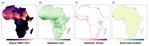 Remote Sensing, Heat, Maternal and Child Health